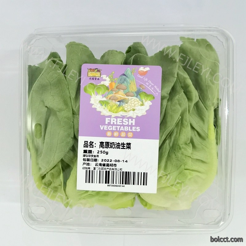 高原奶油生菜