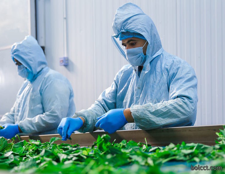 技术创新是核心竞争力的关键