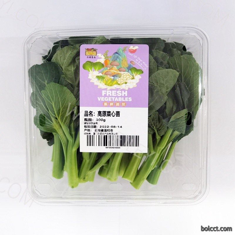 高原菜心苗
