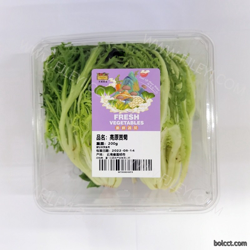 高原苦菊