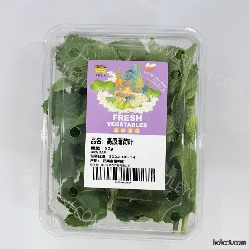 高原薄荷叶